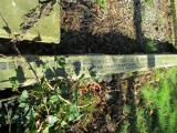 image of grave number 289843